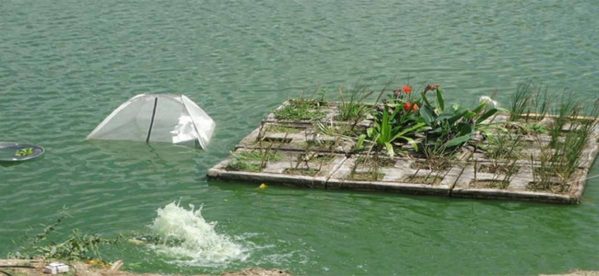 hussainsagarlakegrappleswithpollution