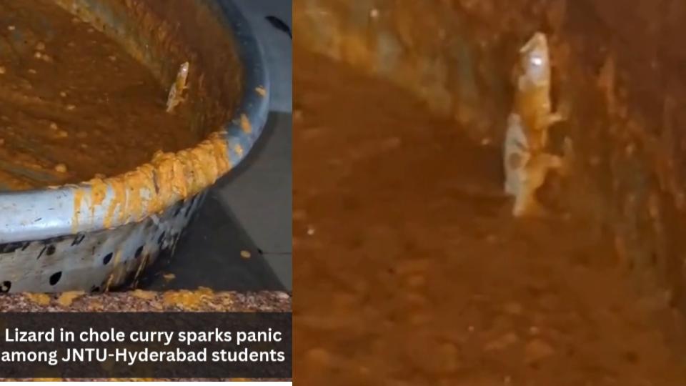 Lizard in chole curry sparks panic among JNTU students