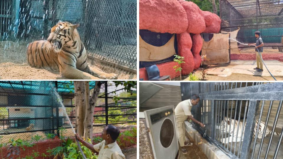 amidheatwavesnehruzooparkmakesspecialarrangementsforanimals