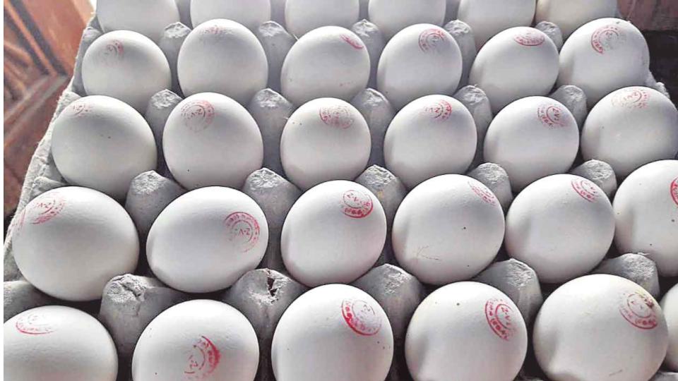 School Helper Arrested for Beating Student Over Extra Egg In Filmnagar