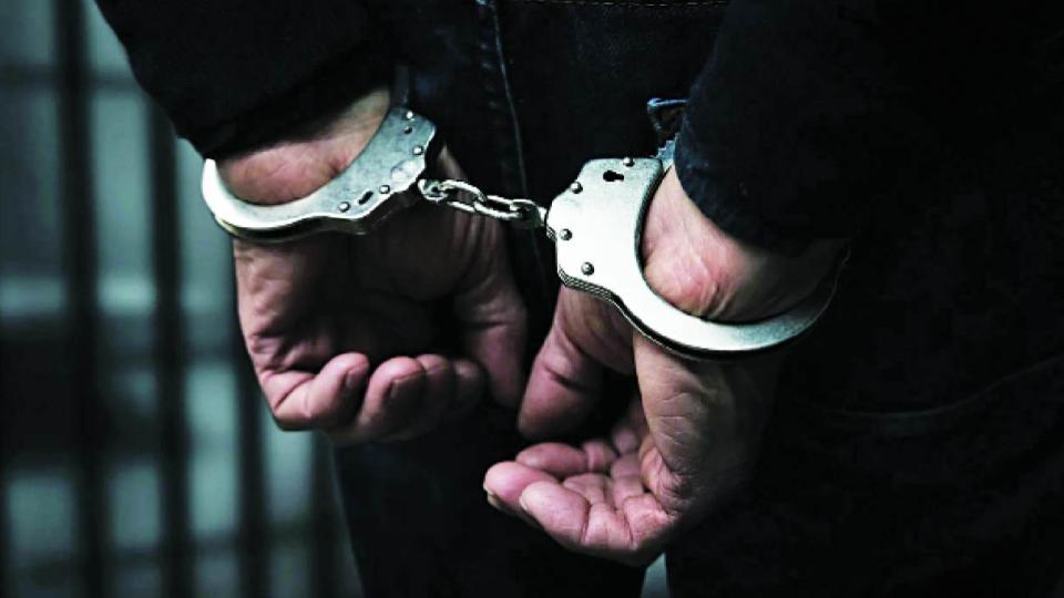 driseizes8705kgsganjaworthrs305cratrgia2held