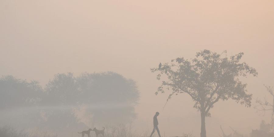 hyderabadrecordstheminimumtemperatureof111degreecelsiusonmonday