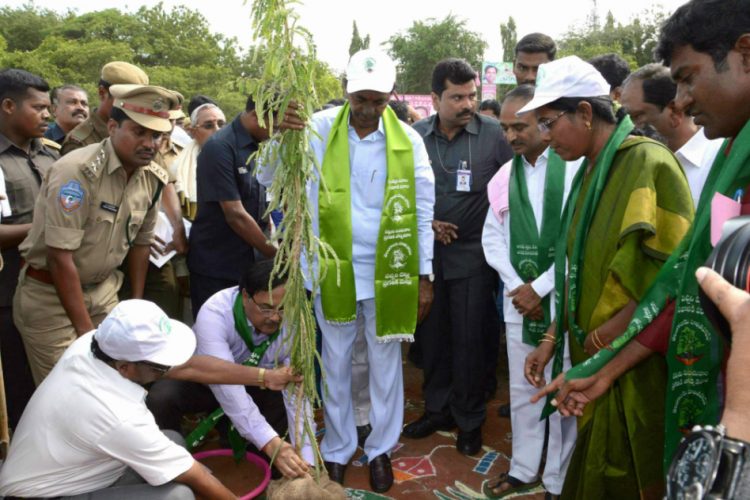 officialsnonseriousnessaboutharithaharamisacauseofconcern:cmkcr
