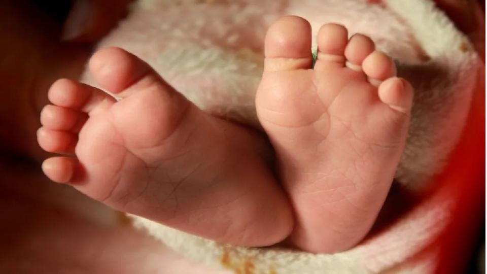 Toddler’s Body Found in Mailardevpally Park