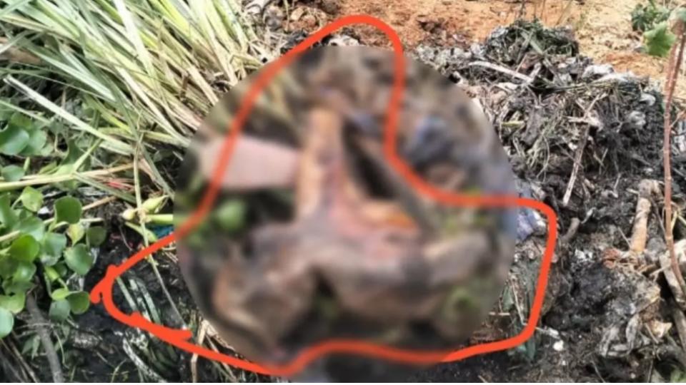 Decomposed Body Found During Desilting of Drain in Medchal