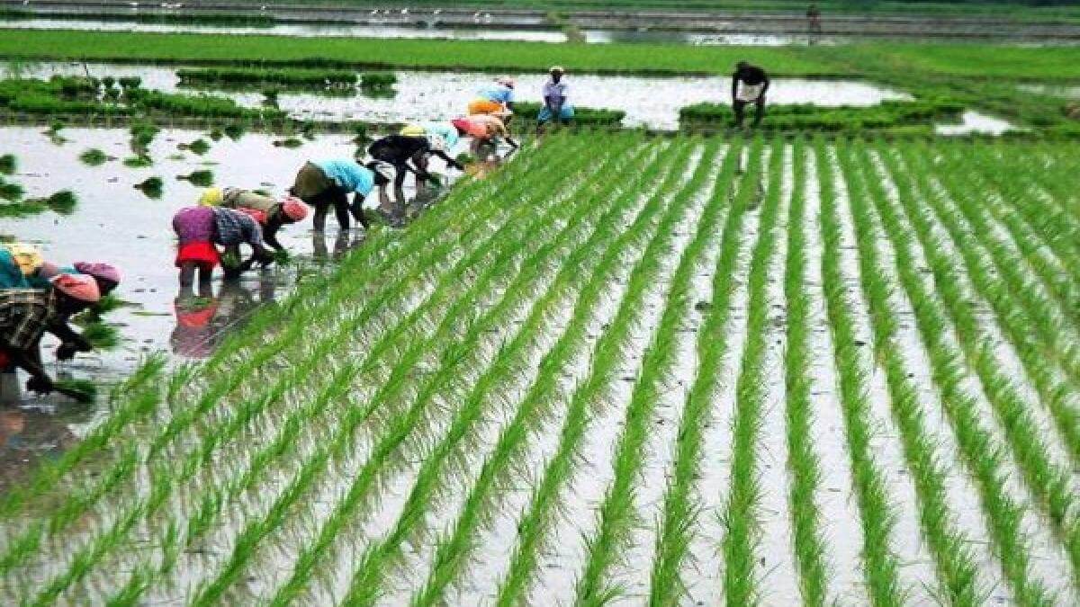 erraticpowercutsworryfarmersintelangana