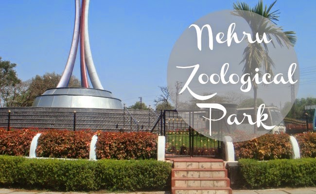 nehruzoologicalparktoorganizeazadikaamritmahosavprogrammefromtoday