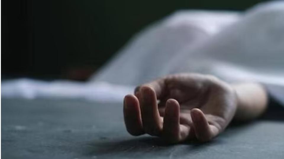 Woman kills twin toddlers, dies by suicide in Balanagar