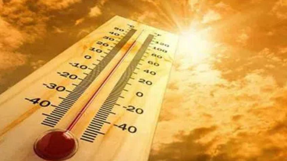 Heat wave grips Adilabad region 
