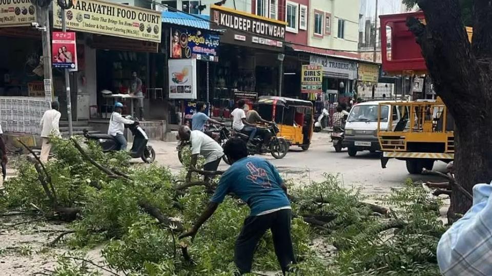 Malkajgiri Municipal Undertakes Tree Pruning Drive 