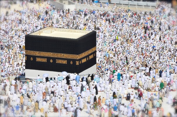 24hajpilgrimsnominatedfromquotaofpresidentvicepresident