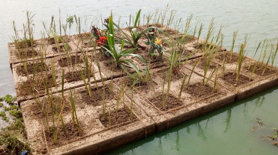 india’sbiggestfloatingislandreleasedinneknampurlake