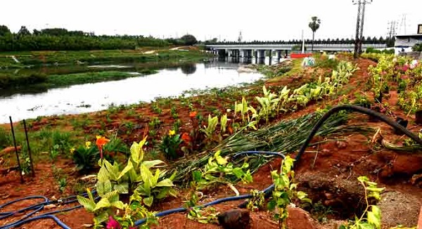 harishrao:musiriverrejuvenationprojectsettogainpacesoon