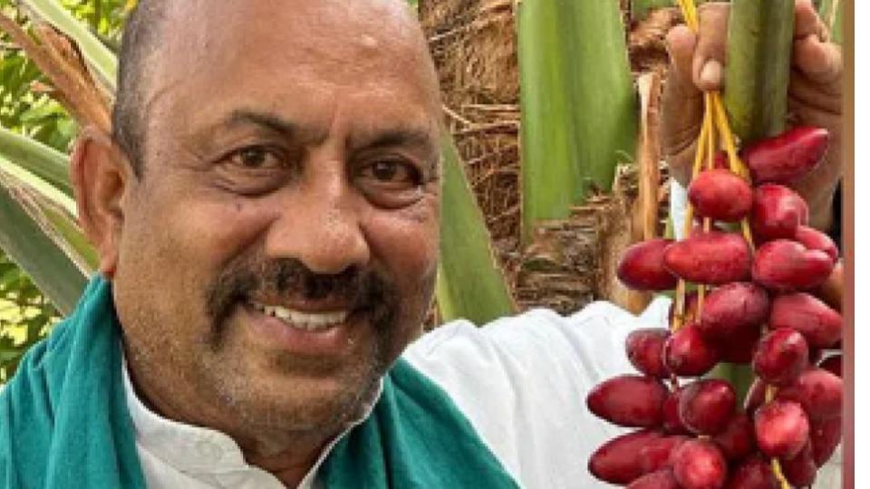 Medak farmer successfully cultivates dates on 13 acres
