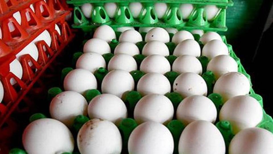 Egg prices fall slightly due to short spell of rains in Hyderabad
