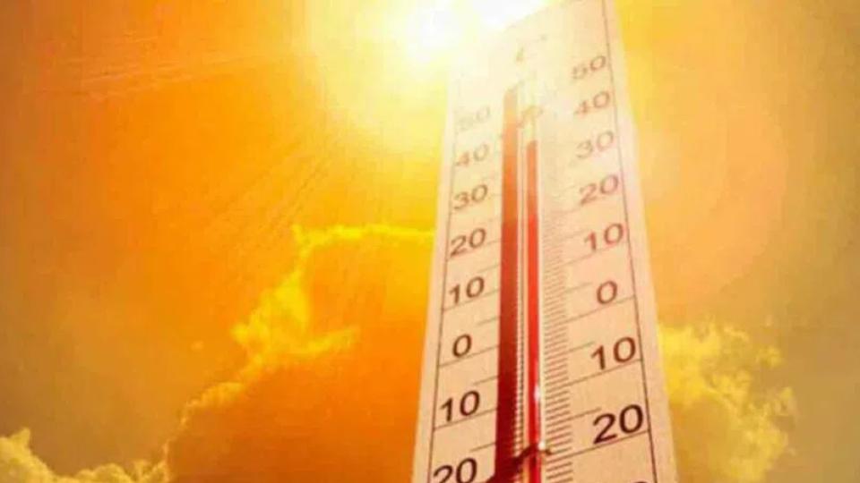 sevendieofsunstrokeintendaysinkarimnagar