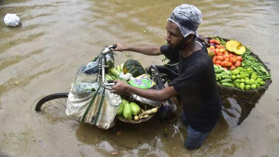 IMD issues Red alert for eight Telangana districts 