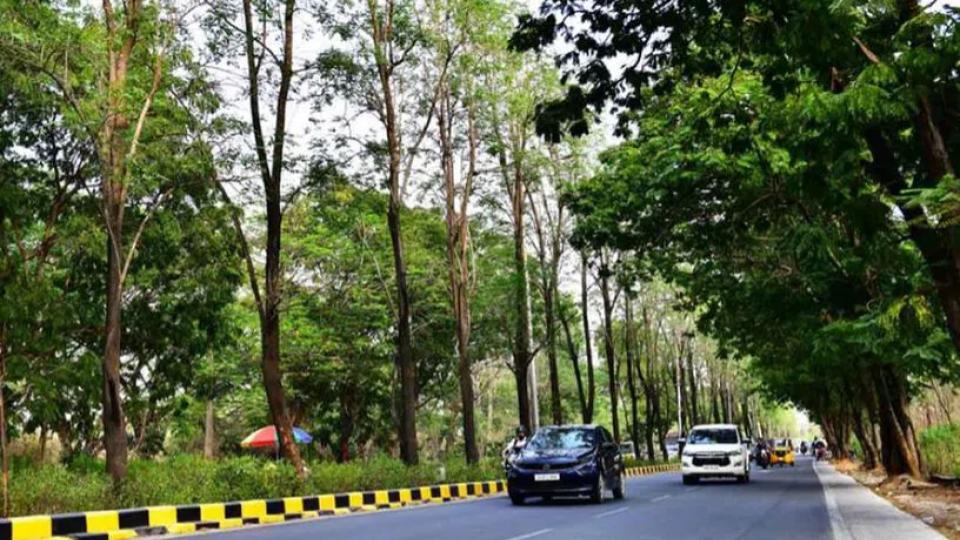 Hyderabad tops City Nature Challenge for second time