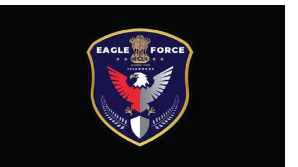 eaglebustsintldrugrackethydroponicweedworthrs12crseized