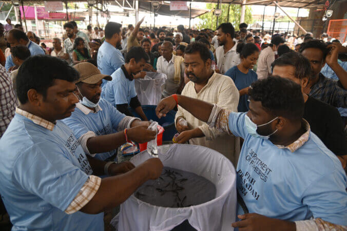 Fish prasadam distribution begins at Nampally Exhibition Grounds