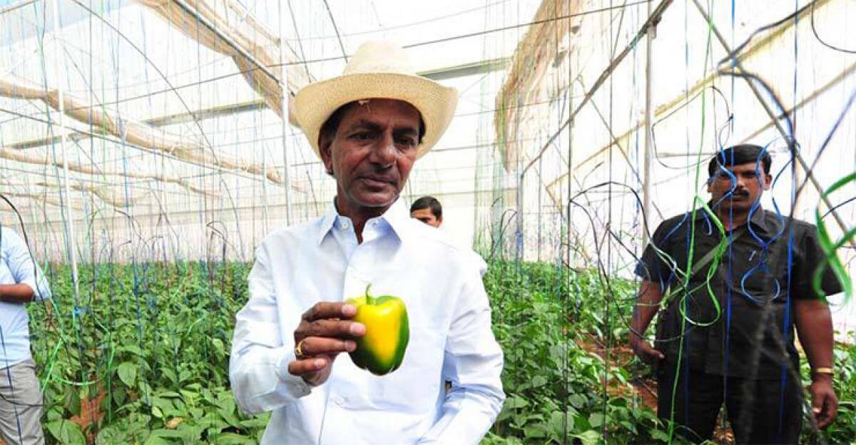 kcr’skisansarkarplacestelangana’sagricultureboomhighestamongtop10states