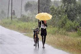 telanganagot98%normalmonsoon