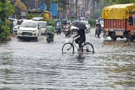 Heavy Rain Lashes Kamareddy District