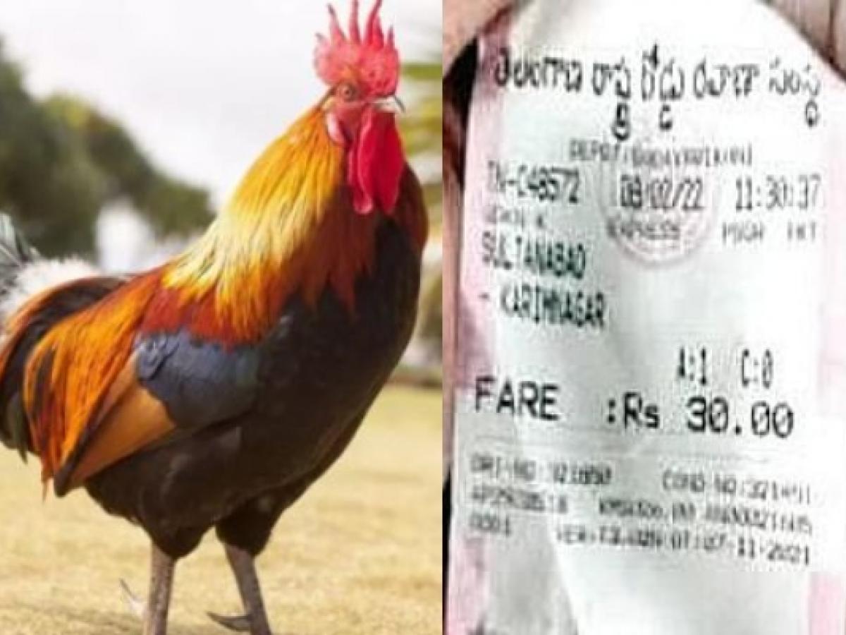 roosterchargedticketfarefortravellinginrtcbusintelangana