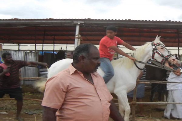 yatraconnectedmalegaonhyderabadsincequtubshahiperiod