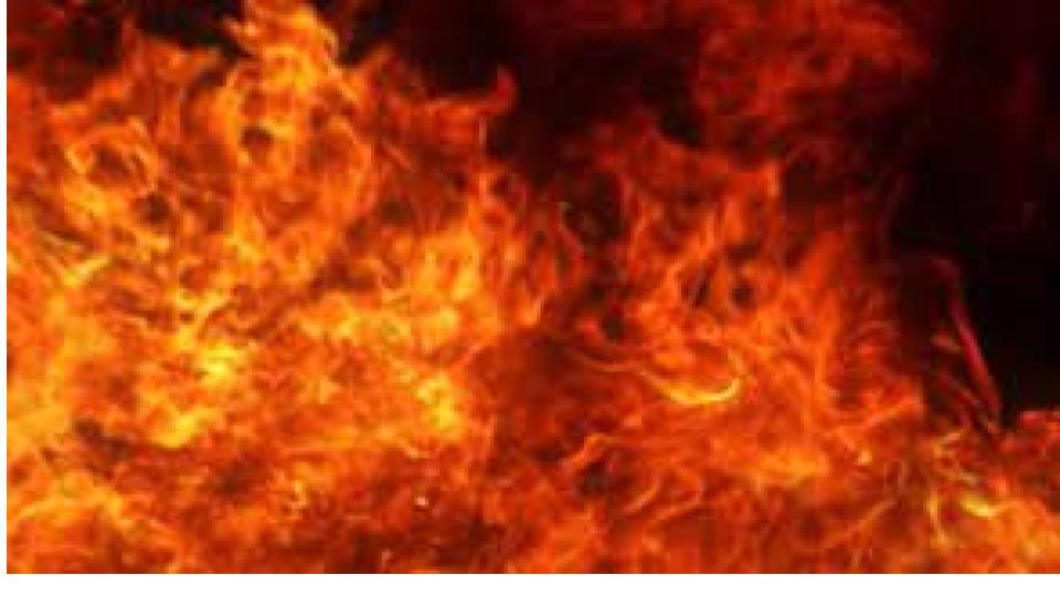 Fire accident kills two buffaloes, five calves in Medak