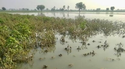 rainfloodtriggeredlossesinkhammamworthrs72968crore