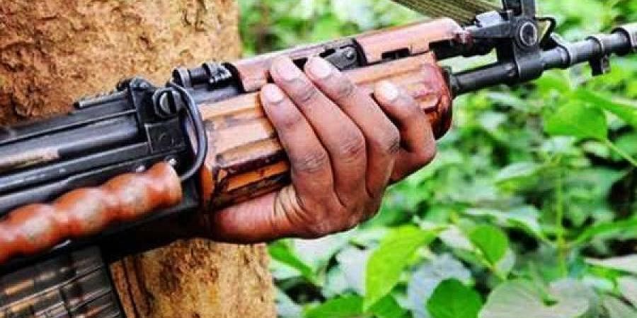 Three Maoists killed in encounter at Telangana, Chattisgarh border