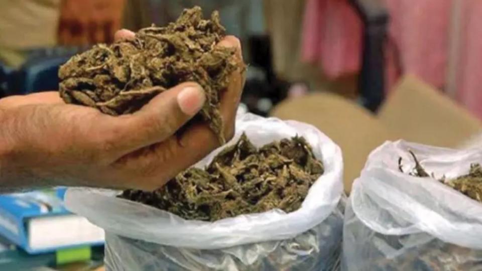 Drugs worth Rs 6 lakh seized in Hyderabad, 10 arrested
