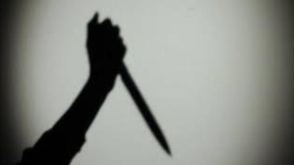 Woman kills husband, attempts suicide due to financial problems in KPHB