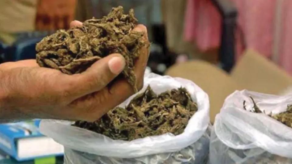 200 kg ganja seized across Khammam police limits