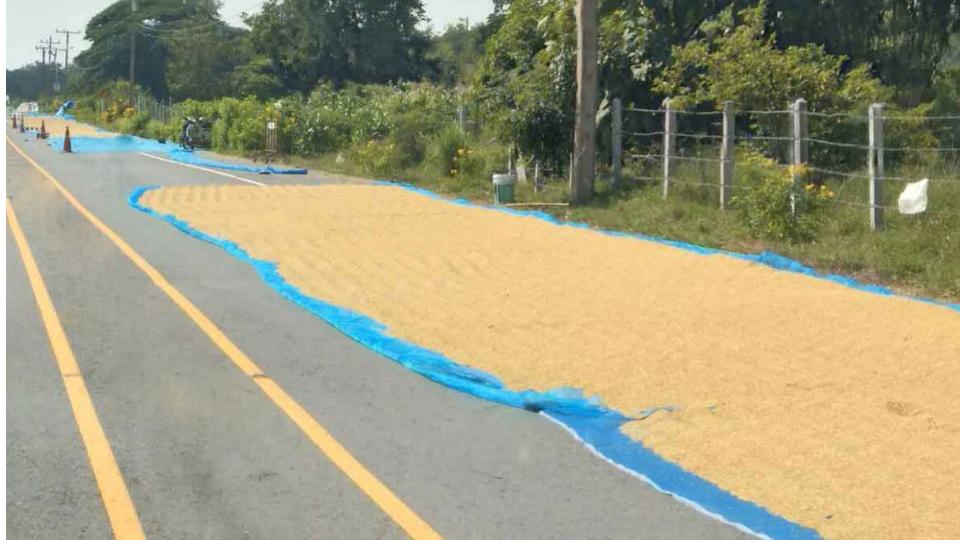 Paddy drying on roads blamed for fatal accidents in erstwhile Medak