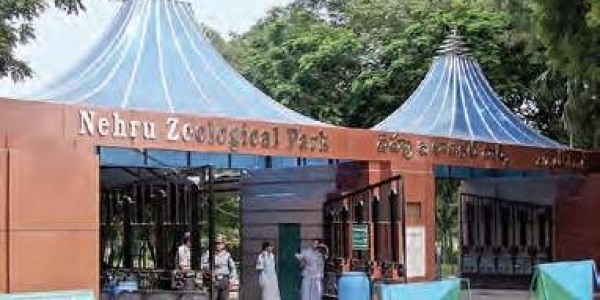 nehruzoologicalparkseesdipinfootfall