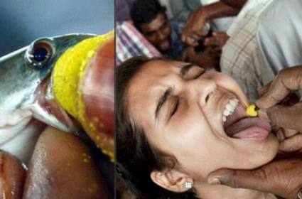Visitors flock to Hyderabad for fish prasadam event