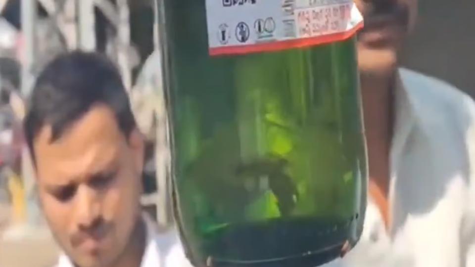 Video Of Live Fish Found Inside Kingfisher Beer Bottle In Hyderabad