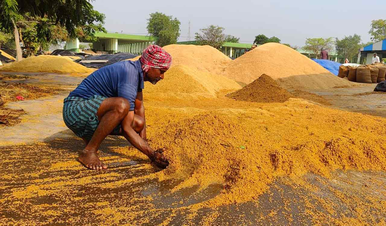 Incessant rain forecast in Telangana to impact paddy procurement operations
