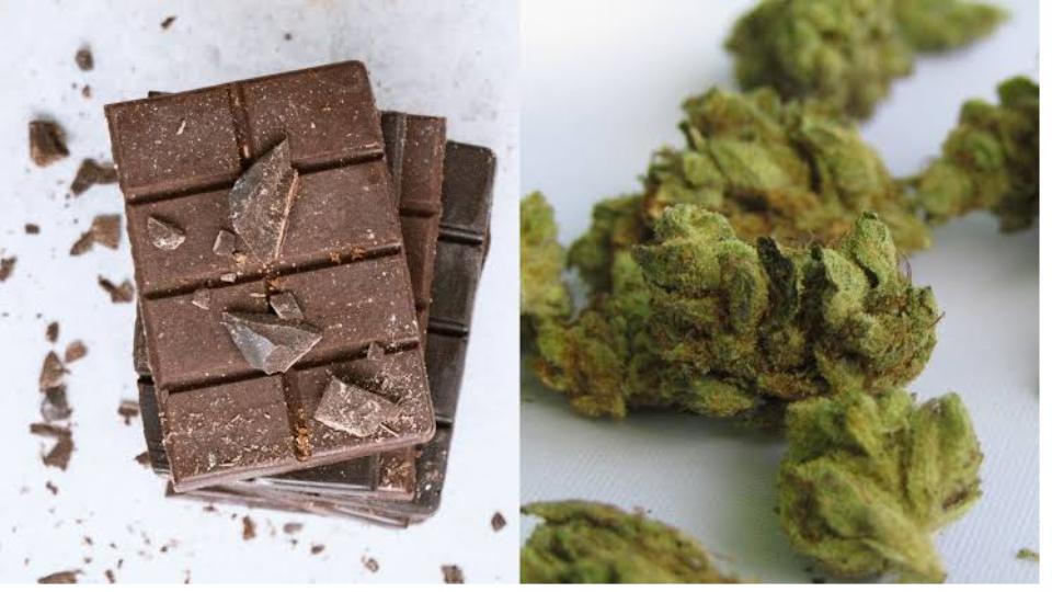 Pan shops emerge as cannabis chocolate retail hubs in Hyderabad
