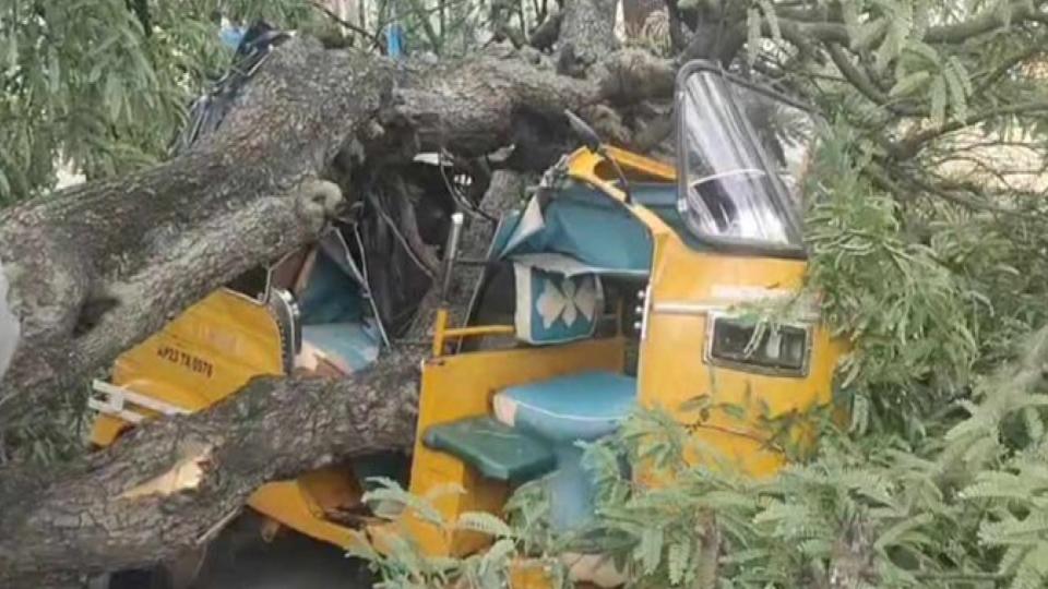 Tamarind tree falls on moving vehicles in Siddipet, two escape
