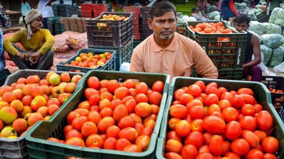 tomatopricesinhyderabadskyrocket