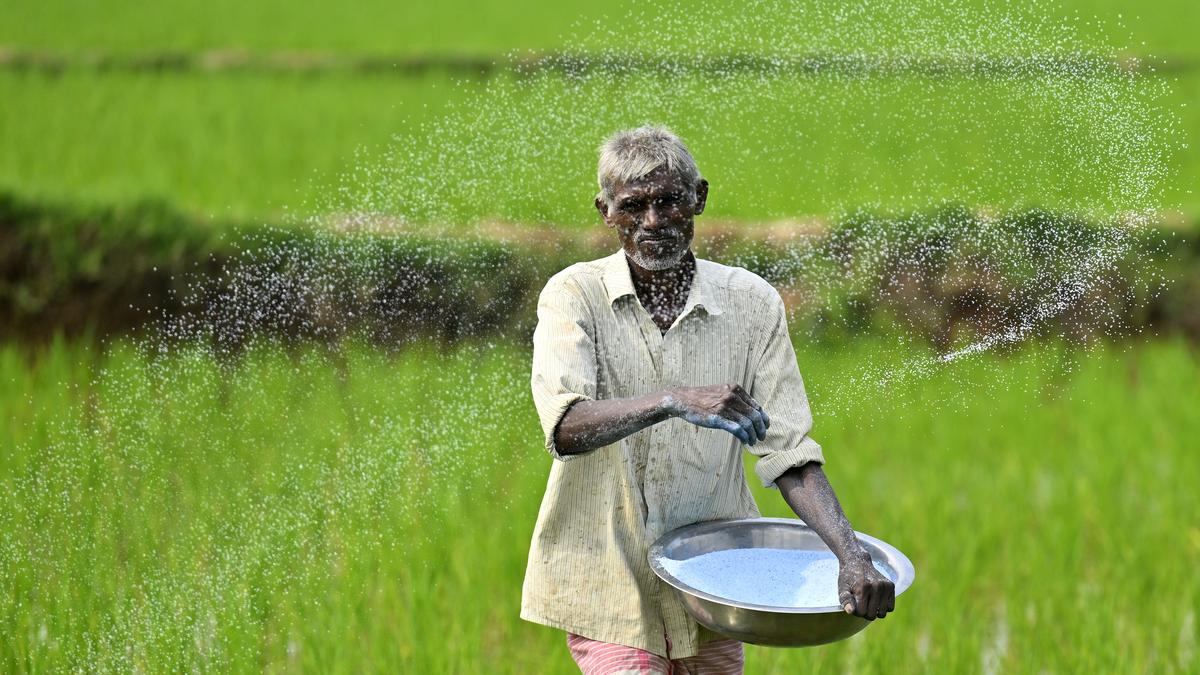 telangana-centre-differ-on-urea-supply-during-vanakalam