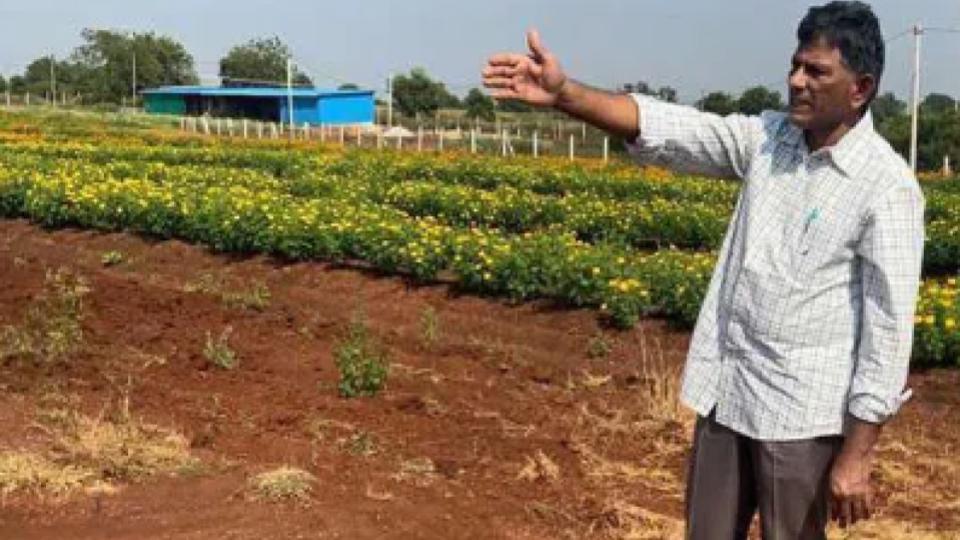 Farmer writes to CM Revanth on power cuts And voltage fluctuations