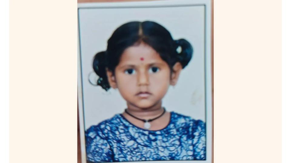 fouryearoldlkgstudentcrushedtodeathbyschoolbusinamberpet