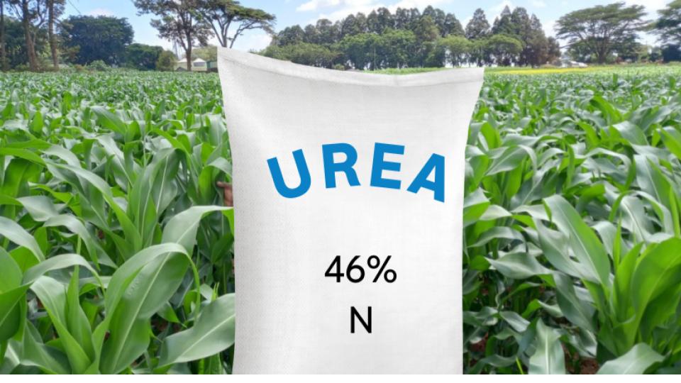 Farmers protest over urea shortage in Karimnagar