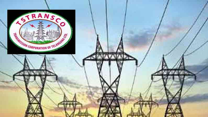 199womenappointedasalinewomenintstransco