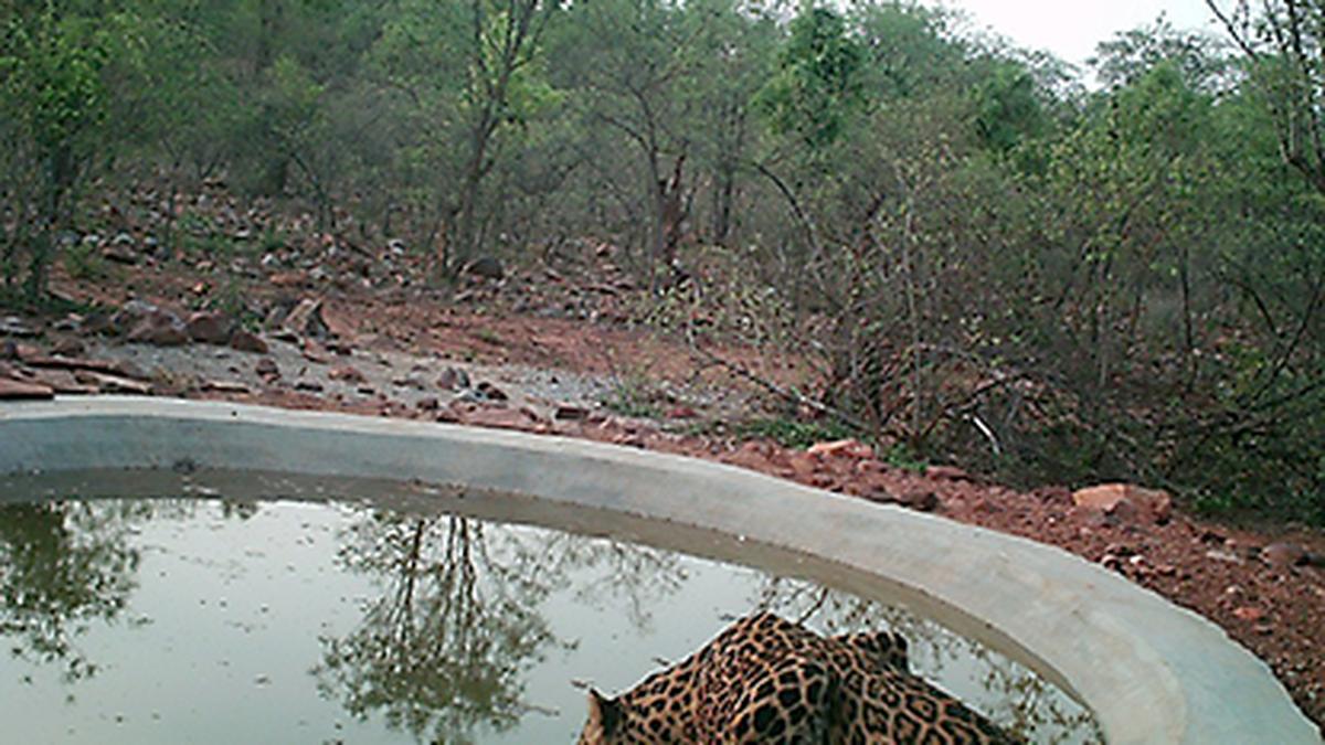 Complete Ban on Plastics in Amrabad Tiger Reserve