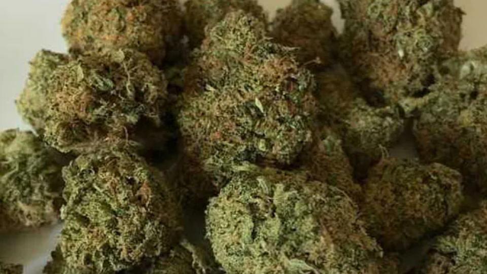 Excise dept seizes 2 kg ganja in Malkajgiri, Patancheru